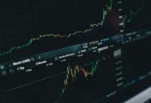 stable long term growth stocks