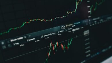 stable long term growth stocks