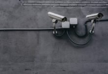 fraud monitoring protection agency