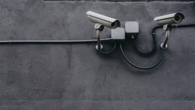 fraud monitoring protection agency