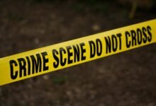 hotline safety fraud investigation