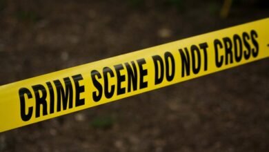 hotline safety fraud investigation