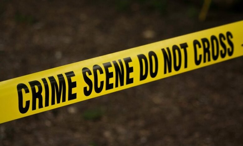 hotline safety fraud investigation